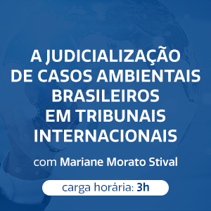 A JUDICIALIZAÇÃO DE CASOS AMBIENTAIS BRASILEIROS EM TRIBUNAIS INTERNACIONAIS 