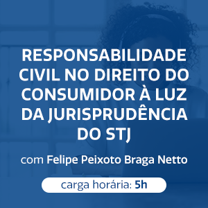 RESPONSABILIDADE CIVIL NO DIREITO DO CONSUMIDOR À LUZ DA JURISPRUDÊNCIA DO STJ